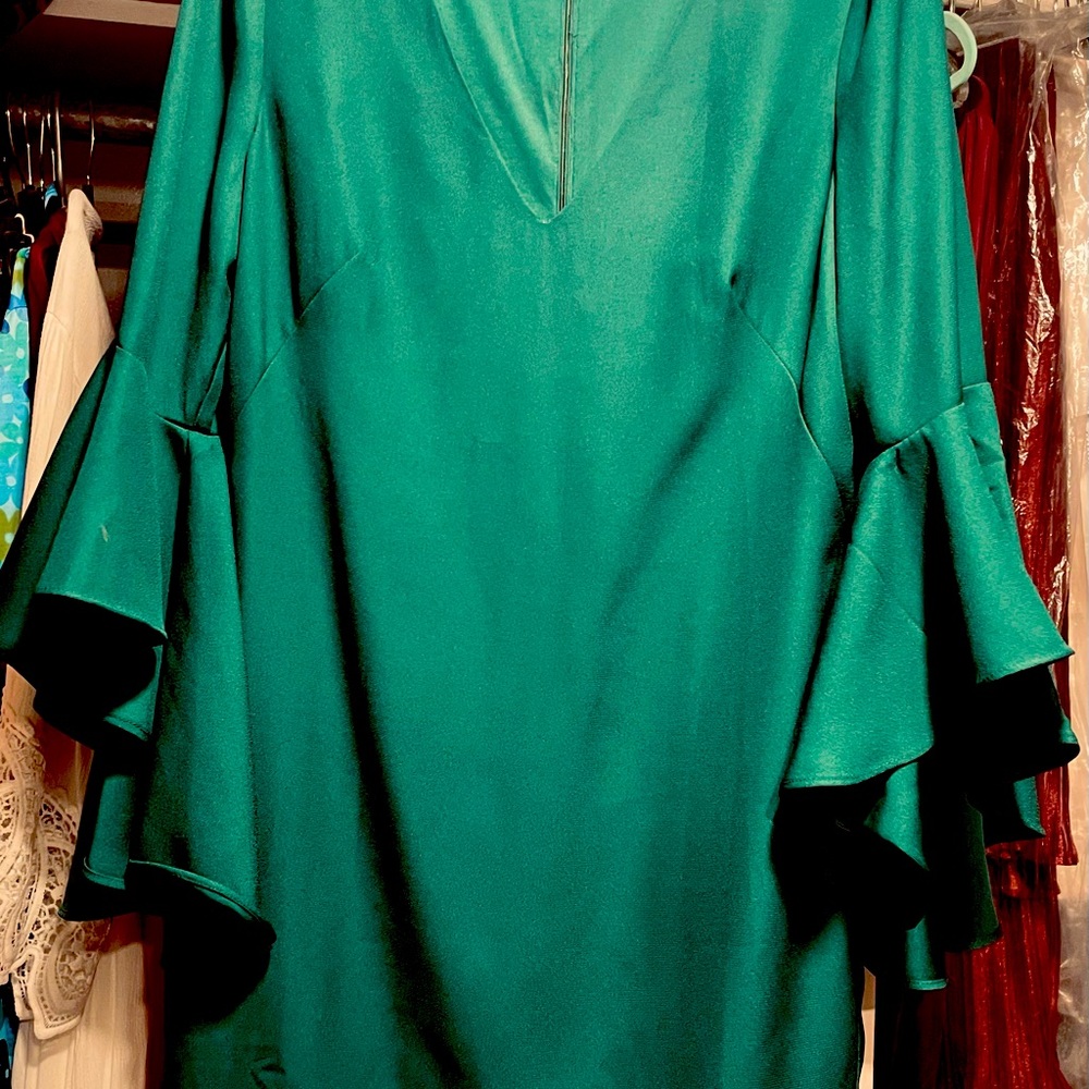 Women’s size 10 Forest Green Venus Dress